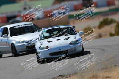 media/Mar-08-2025-Extreme Speed (Sat) [[4abb97269e]]/Purple/Turns 2  and  4 (Session 2)/